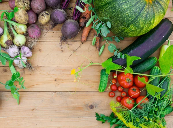 Récolte Légumes Frais Sur Fond Bois Vue Dessus Pommes Terre — Photo