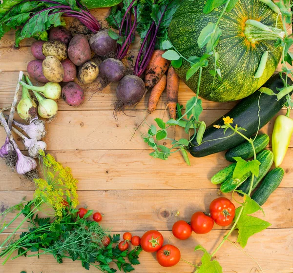 Skörd Färska Grönsaker Trä Bakgrund Ovanifrån Potatis Morot Squash Ärtor — Stockfoto