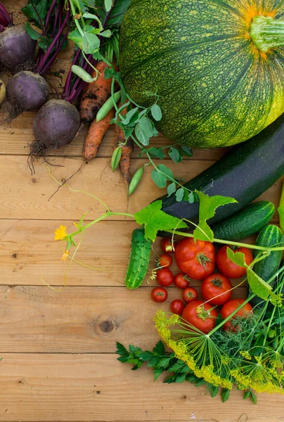 Skörd Färska Grönsaker Trä Bakgrund Ovanifrån Potatis Morot Squash Ärtor — Stockfoto