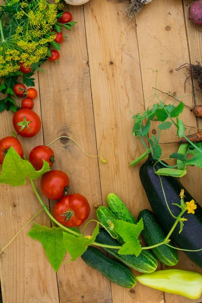 Skörd Färska Grönsaker Trä Bakgrund Ovanifrån Potatis Morot Squash Ärtor — Stockfoto