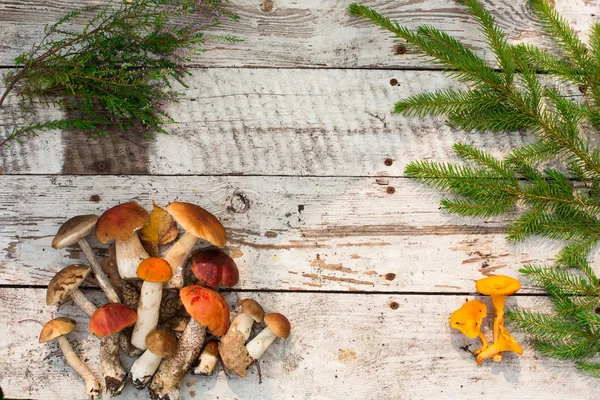 Mushrooms Wooden Background Card Autumn Summertime Forest Harvest Boletus Aspen — Stock Photo, Image