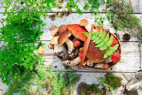 Pilze Auf Holzgrund Karte Herbst Oder Sommer Waldernte Steinpilze Espen — Stockfoto