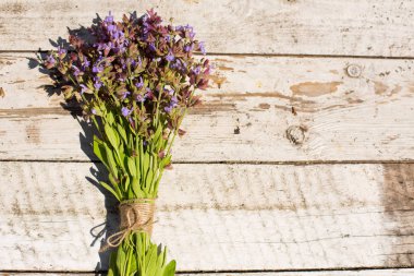Adaçayı bir ahşap zemin üzerinde. Tıbbi bitki çiçek.