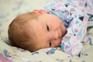 Yeni doğmuş bebek annemin kollarında, baba. Anne, baba ve küçük çocuğun büyük elleri.