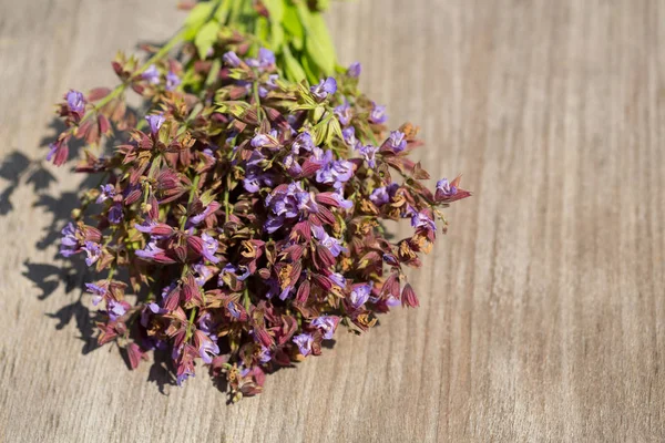 Sage Wooden Background Medicinal Plant Bloom — Stock Photo, Image