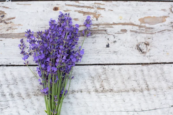 Lavanda Fundo Madeira Planta Medicinal Flor — Fotografia de Stock