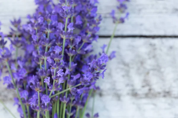 Lavender Wooden Background Medicinal Plant Bloom — Stock Photo, Image