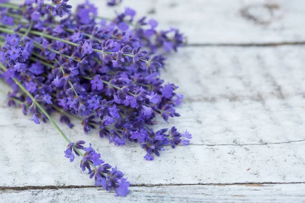 Lavender Wooden Background Medicinal Plant Bloom — Stock Photo, Image