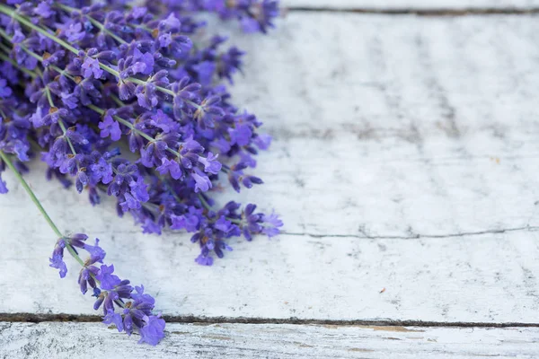 Lavender Wooden Background Medicinal Plant Bloom — Stock Photo, Image