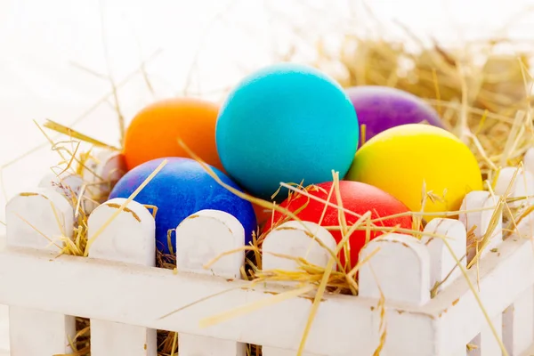 Tarjeta Huevos Pascua Con Flores Primavera Sobre Fondo Blanco — Foto de Stock