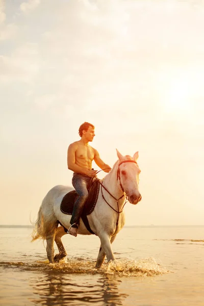 マッチョな男と空と水の背景に馬 男の子モデル 夕焼けの海のビーチで馬に乗ってカウボーイ 男性は 日差しの中でバックライト付き ポジティブな夏の時間のシーン — ストック写真