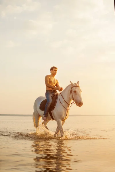 马乔人和马的背景是天空和水 男孩模特 牛仔在海边的海滩上骑马 男人们 在阳光下背光 一个积极的夏季场景 — 图库照片