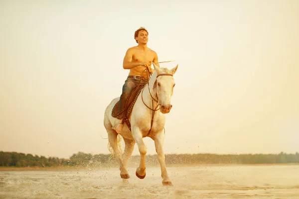 マッチョな男と空と水の背景に馬 男の子モデル 夕焼けの海のビーチで馬に乗ってカウボーイ 男性は 日差しの中でバックライト付き ポジティブな夏の時間のシーン — ストック写真