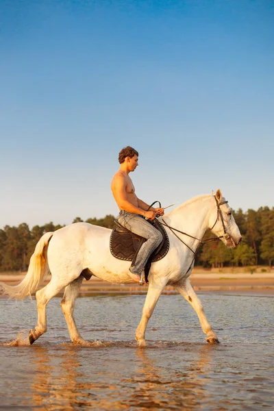 Macho Muže Koně Pozadí Oblohy Vody Boy Model Kovboj Koni — Stock fotografie