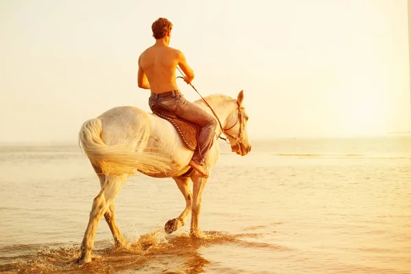 Macho Cal Fundalul Cerului Apei Model Băiat Cowboy Călare Plajă — Fotografie, imagine de stoc