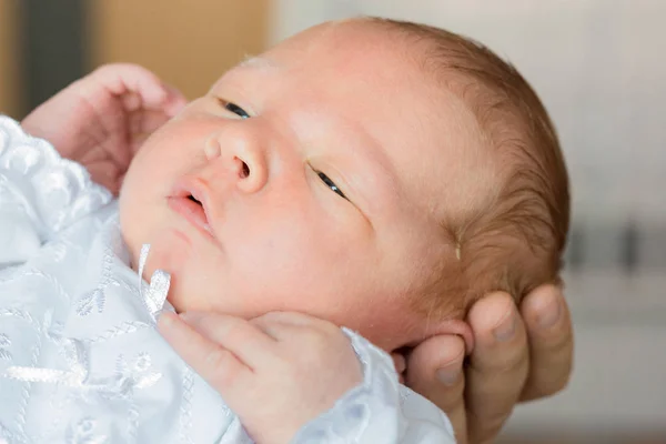 Neonato Tra Braccia Della Mamma Papa Grandi Mani Madre Padre Immagine Stock