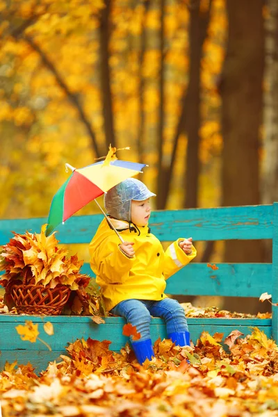 秋を背景に少年 虹色の傘を手に公園 カエデの葉を持つ子供 秋の情景 — ストック写真