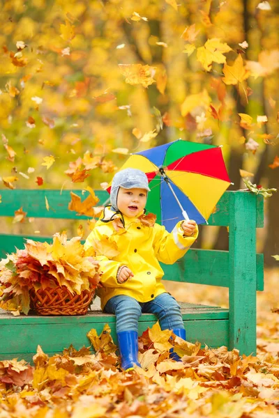 Sonbaharın Arka Planında Küçük Bir Çocuk Elinde Gökkuşağı Şemsiyesi Olan — Stok fotoğraf