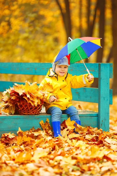 秋を背景に少年 虹色の傘を手に公園 カエデの葉を持つ子供 秋の情景 — ストック写真