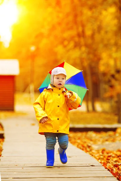 Kleine Jongen Achtergrond Van Herfst Park Met Regenboog Paraplu Handen — Stockfoto