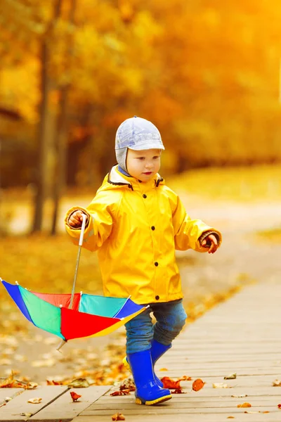 Liten Pojke Höstens Bakgrund Park Med Regnbåge Paraply Händerna Barn — Stockfoto