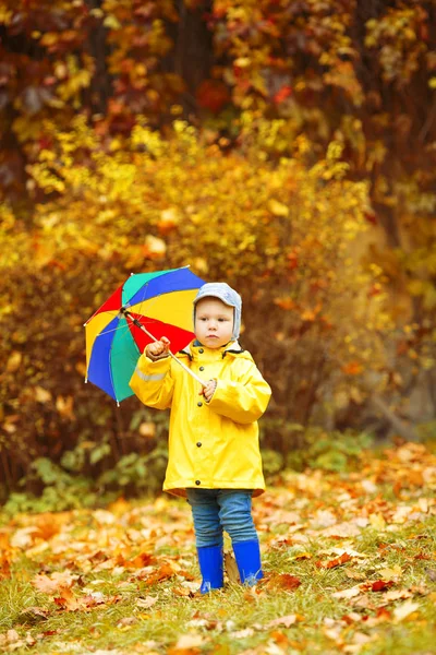 Liten Pojke Höstens Bakgrund Park Med Regnbåge Paraply Händerna Barn — Stockfoto