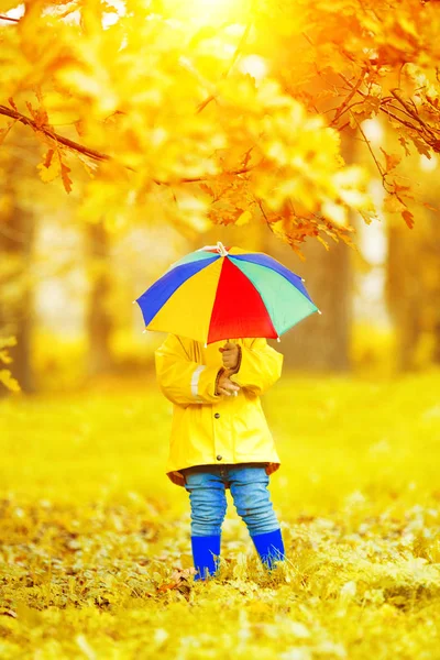 Menino Fundo Outono Parque Com Guarda Chuva Arco Íris Nas — Fotografia de Stock