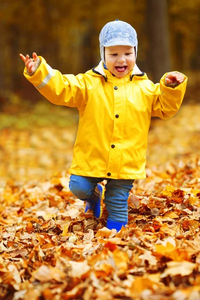 Kleiner Junge Hintergrund Des Herbstparks Kind Mit Einem Ahornblatt Herbstszene — Stockfoto