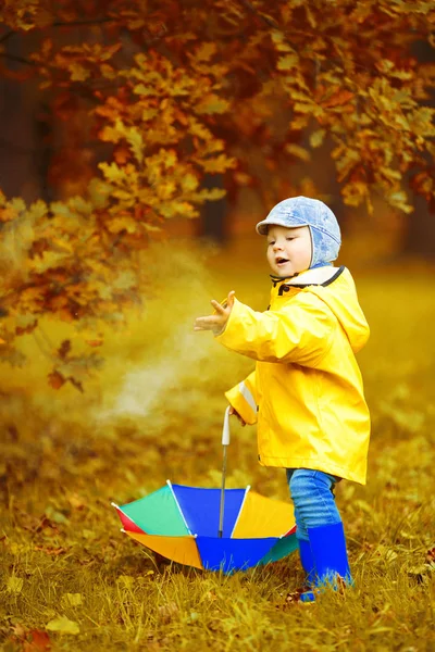 秋を背景に少年 虹色の傘を手に公園 カエデの葉を持つ子供 秋の情景 — ストック写真