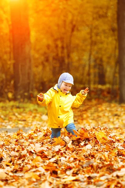 Liten Pojke Bakgrunden Höstparken Barn Med Lönnlöv Höstscen — Stockfoto