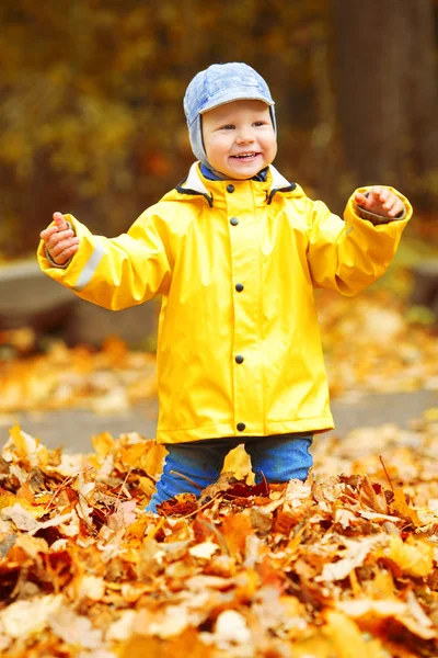 Kleiner Junge Hintergrund Des Herbstparks Kind Mit Einem Ahornblatt Herbstszene — Stockfoto