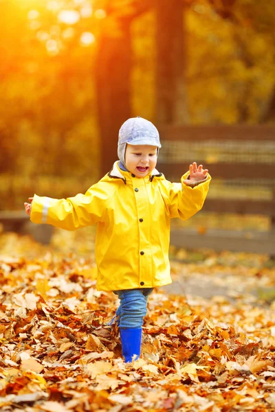 Liten Pojke Bakgrunden Höstparken Barn Med Lönnlöv Höstscen — Stockfoto