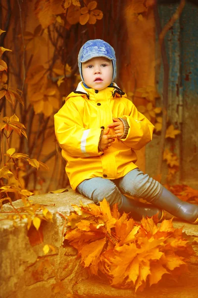 Bambino Sullo Sfondo Del Parco Autunnale Bambino Con Una Foglia — Foto Stock