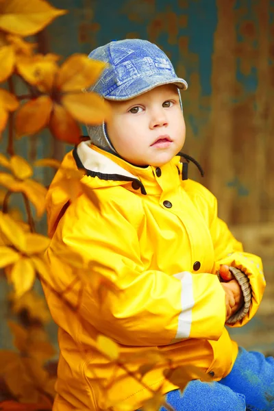 秋の公園を背景に少年 カエデの葉を持つ子供 秋の情景 — ストック写真