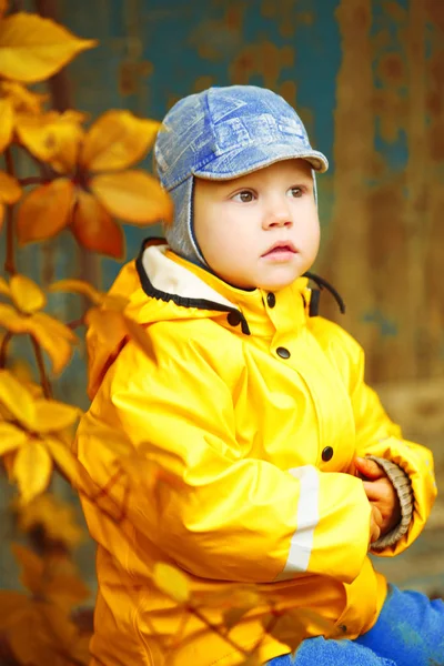 秋の公園を背景に少年 カエデの葉を持つ子供 秋の情景 — ストック写真