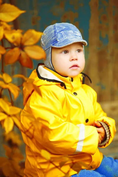 Petit Garçon Sur Fond Parc Automne Enfant Avec Une Feuille — Photo