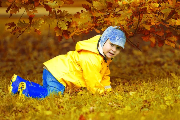 Kleiner Junge Hintergrund Des Herbstparks Kind Mit Einem Ahornblatt Herbstszene — Stockfoto