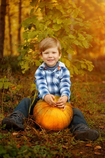 Niño Está Sentado Con Una Calabaza Sonriendo Niño Disfruta Halloween Imágenes de stock libres de derechos