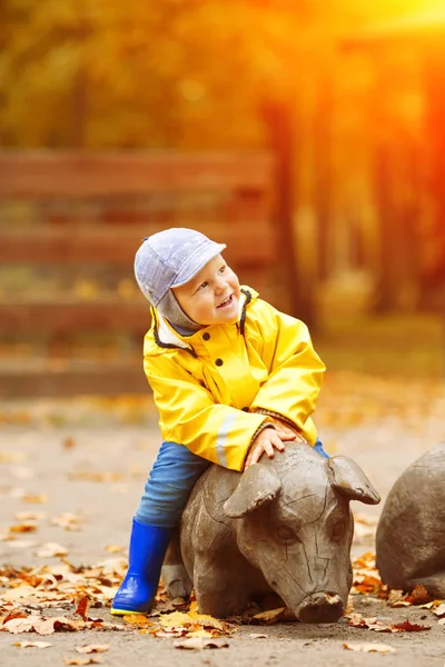 Niño Pequeño Fondo Del Parque Otoño Niño Con Una Hoja Fotos De Stock