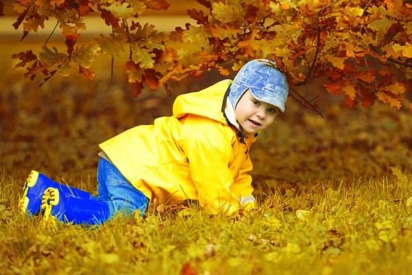 秋の公園を背景に少年 カエデの葉を持つ子供 秋の情景 ストック画像