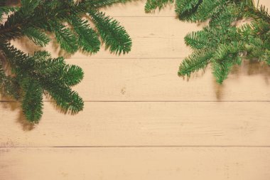 Ahşap arka plan ve metin veya ürün gösteri için boş bir alan ile köknar