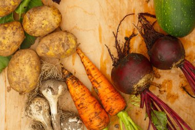 Bahçe arka planda bir ahşap zemin üzerine taze sebzelerin hasat. Üstten görünüm. Sarımsak, pancar, kabak, alabaşlar, karnabahar, biber, domates, patates, fesleğen, salatalık, dereotu.