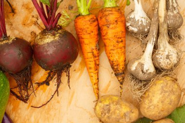 Bahçe arka planda bir ahşap zemin üzerine taze sebzelerin hasat. Üstten görünüm. Sarımsak, pancar, kabak, alabaşlar, karnabahar, biber, domates, patates, fesleğen, salatalık, dereotu.