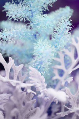 Görüntü güzel doğal arka hakkında