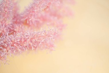 Görüntü güzel doğal arka hakkında