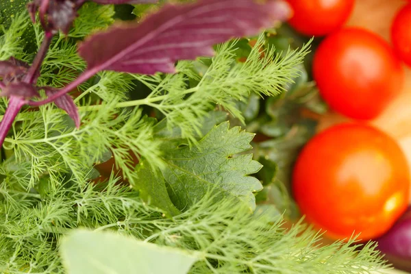 Cosecha Verduras Frescas Sobre Fondo Madera Sobre Fondo Jardín Vista —  Fotos de Stock