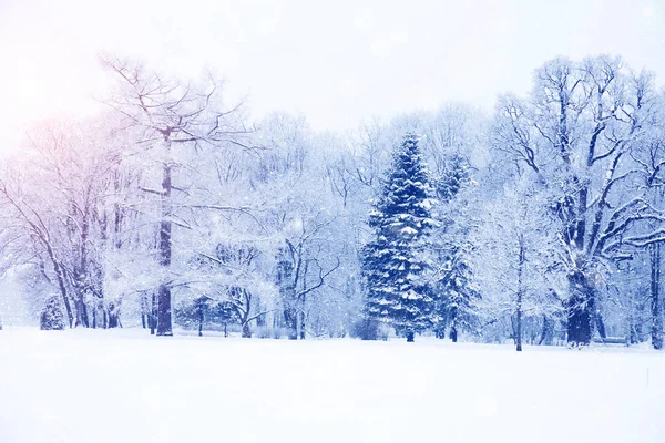 Winter Wonderland Scène Achtergrond Landschap Bomen Bossen Sneeuw Kerstmis Nieuwjaar — Stockfoto