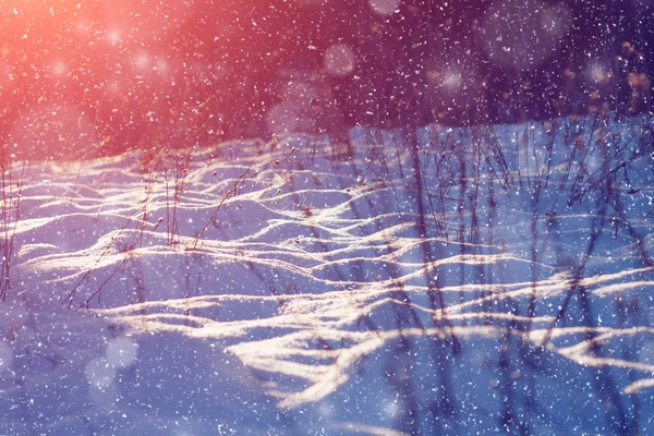 Téli Wonderland Jelenet Háttér Táj Fák Erdők Karácsony Idő — Stock Fotó