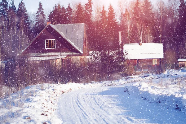 Invierno Maravilla Escena Fondo Paisaje Árboles Bosque Nieve Navidad Año — Foto de Stock