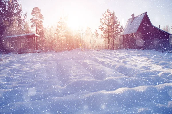 Invierno Maravilla Escena Fondo Paisaje Árboles Bosque Nieve Navidad Año — Foto de Stock